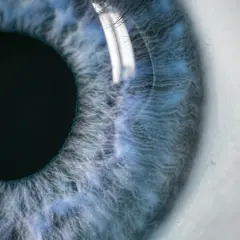 Jak zrobić zdjęcie oka telefonem? Poradnik krok po kroku