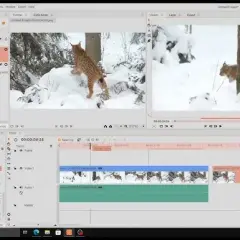 Jak wyodrębnić klatkę z wideo? Poradnik krok po kroku