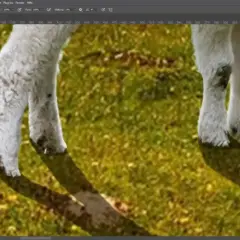 Jak zrobić realistyczne cienie w Photoshopie? Poradnik krok po kroku