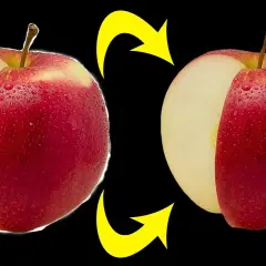 Jak wyciąć obiekt w Photoshopie? Prosty poradnik krok po kroku