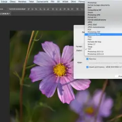 Jak zapisać zdjęcie w Photoshopie: Poradnik JPG, PNG, TIFF