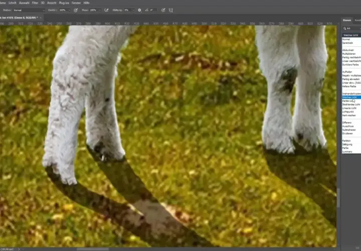Jak zrobić realistyczne cienie w Photoshopie? Poradnik krok po kroku