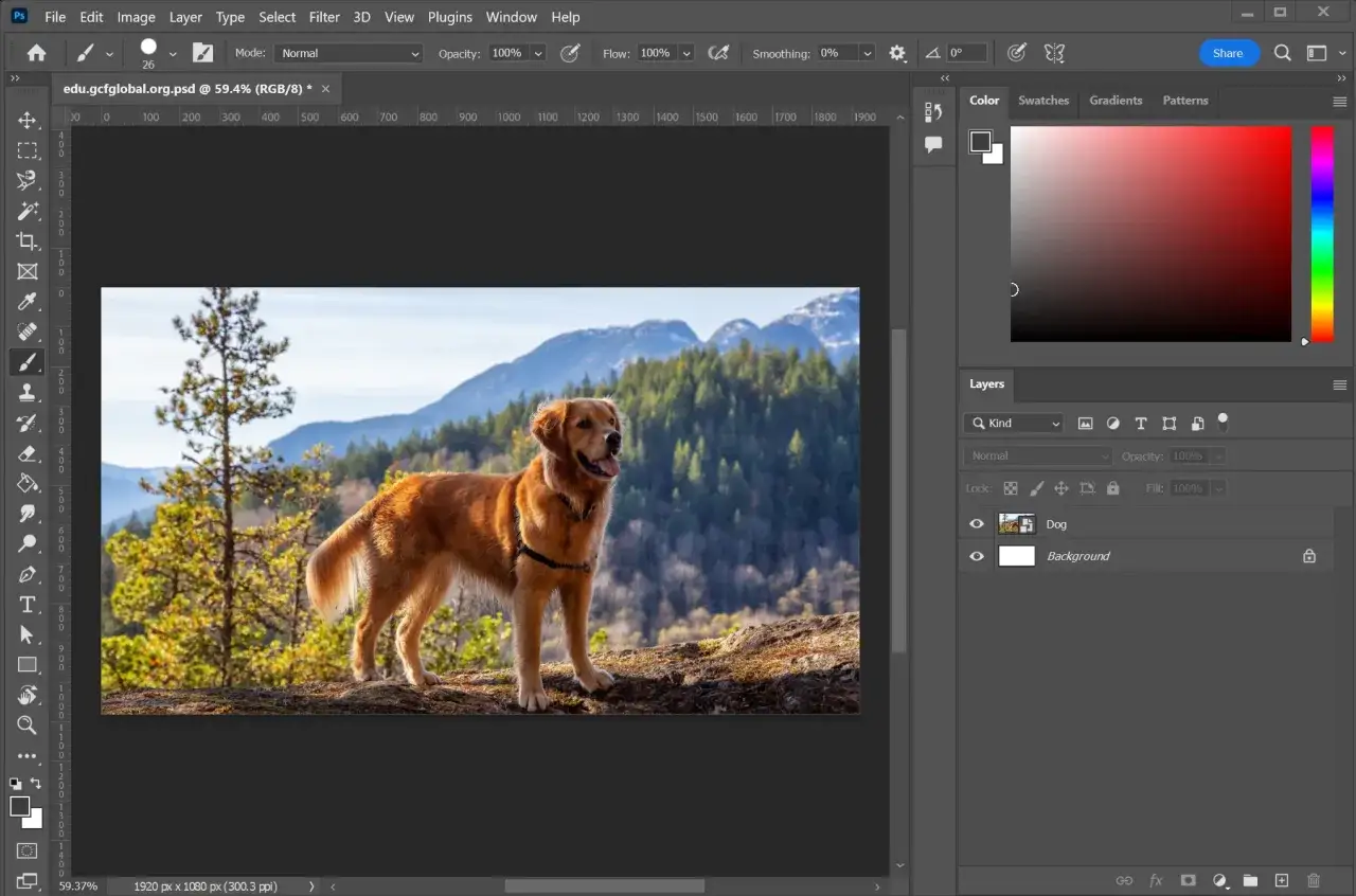 interfejs adobe photoshop co to