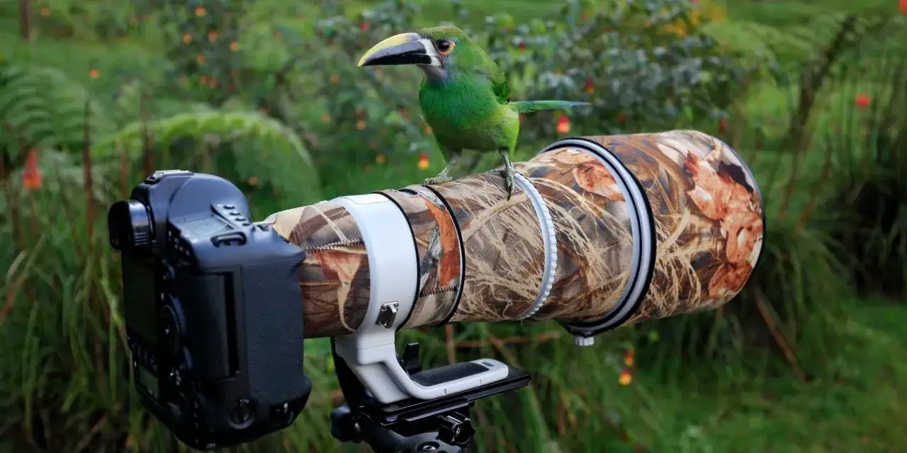 aparat do fotografowania zwierząt kluczowe cechy