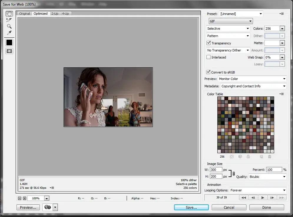 Adobe Photoshop Save for Web GIF settings